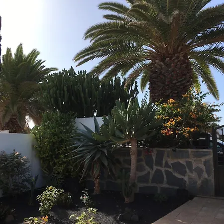 فيلة Yuca 13